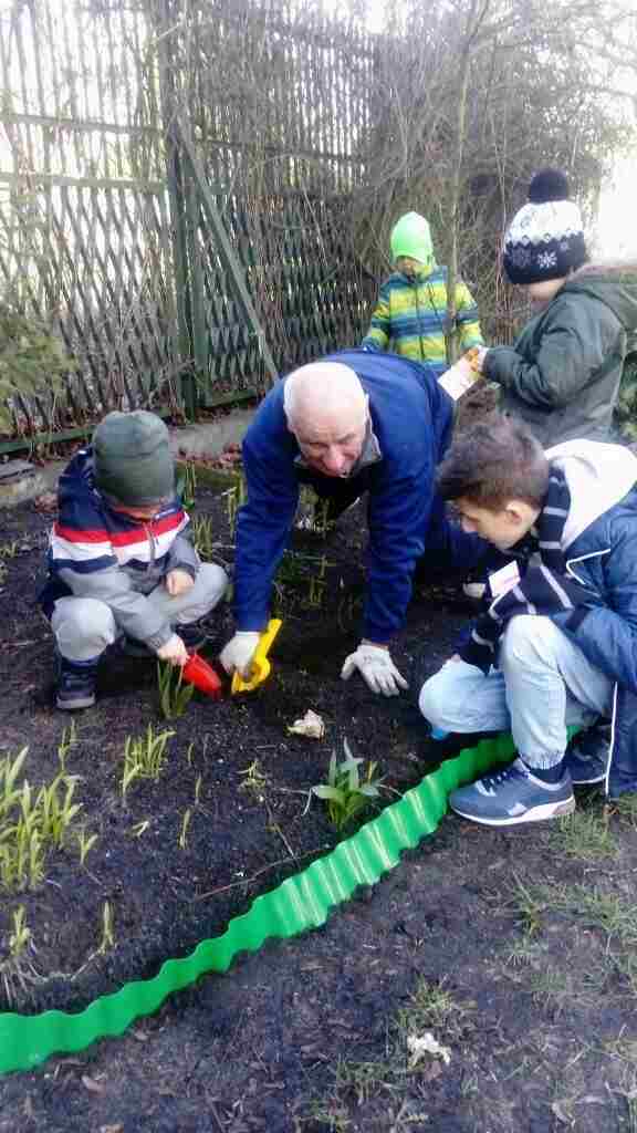 wspólne sadzenie roślin