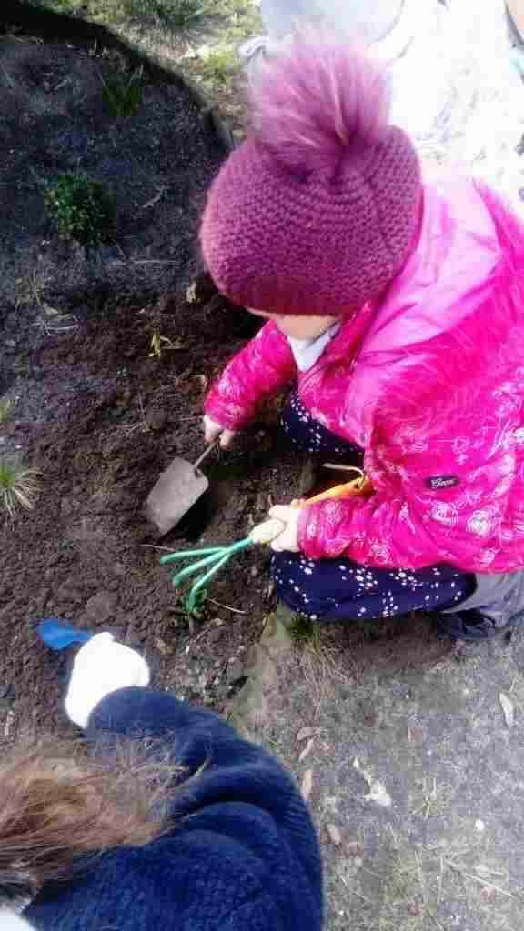 wspólne sadzenie roślin